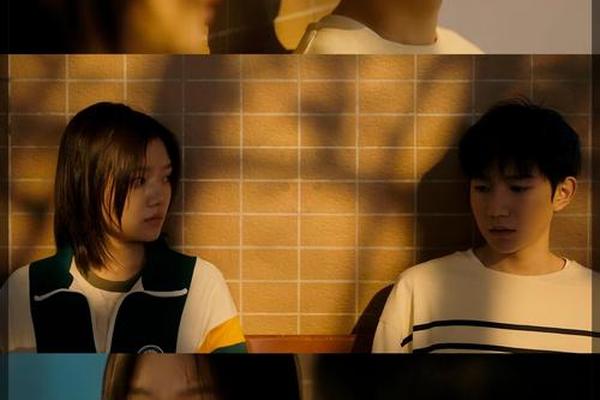 追光的日子30集免费观看