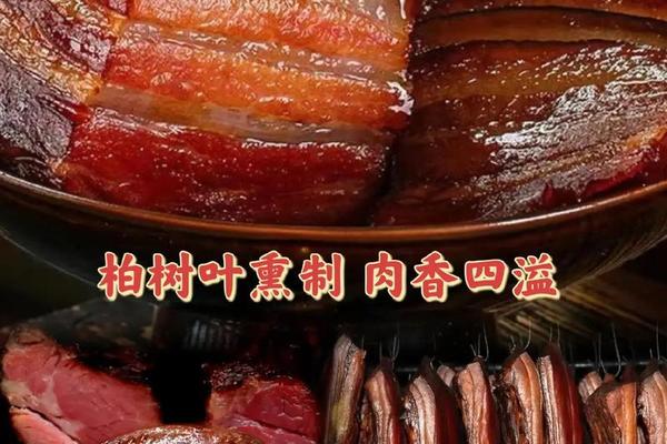 人肉腊肠下载