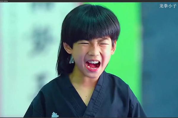 龙拳小子 电影