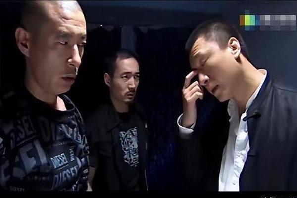 征服电视剧全集高清在线观看完整版