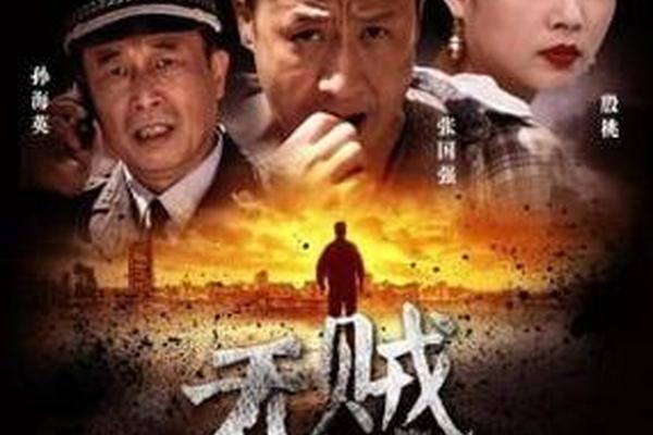无贼电视剧全集48集免费播放