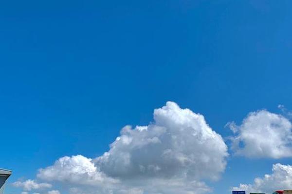 我选的天空