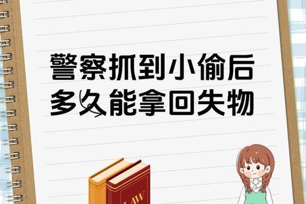 被窃之物