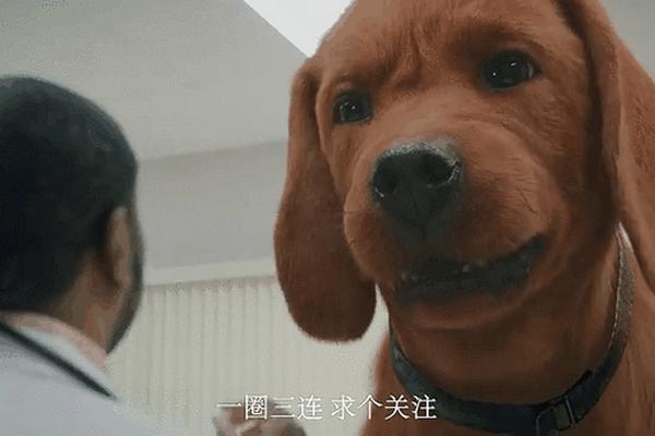 大红狗克里弗电影免费观看
