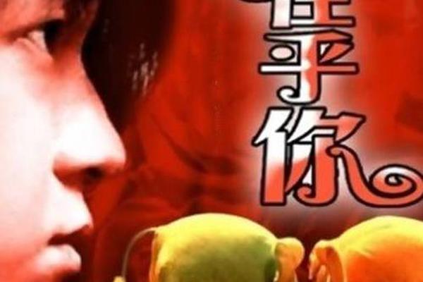 我只在乎你电视剧