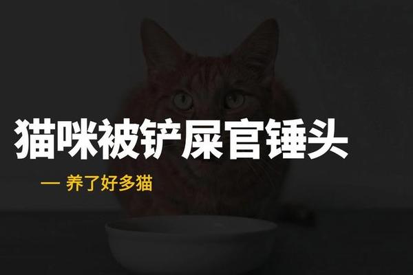 不要睁眼