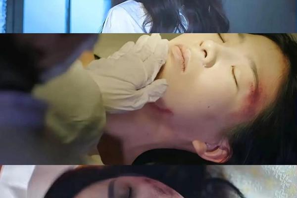鉴罪女法医