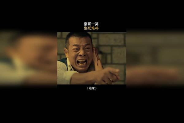 追龙在线观看