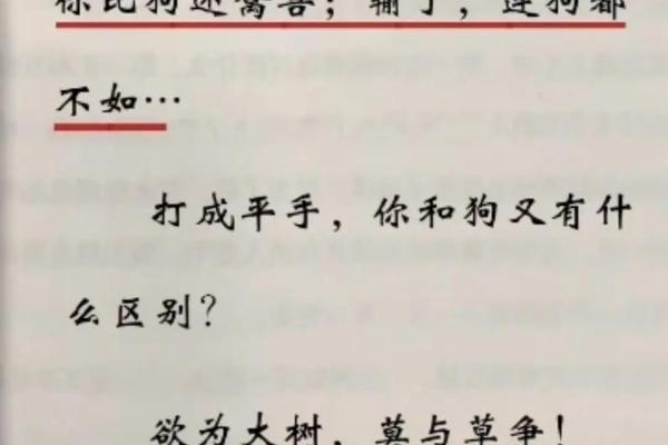 别跟狗较劲