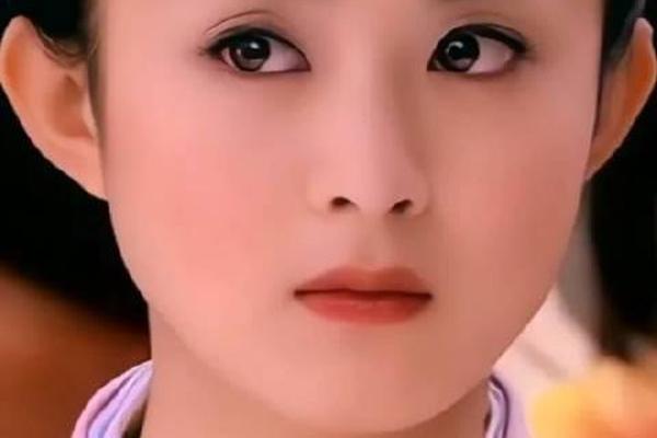 陆贞传奇20