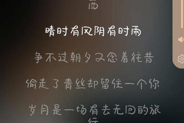 岁月神偷 粤语
