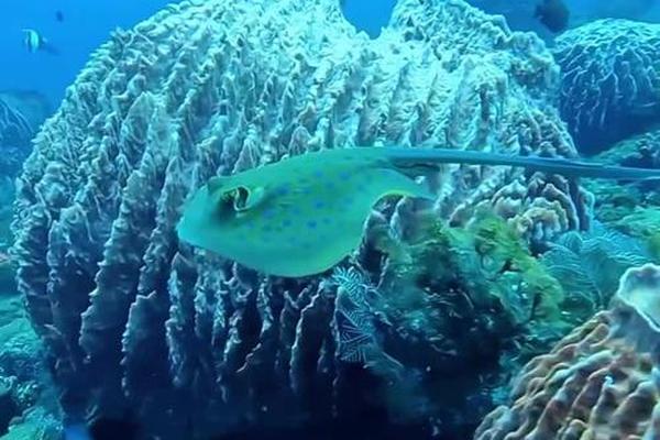 海洋深处