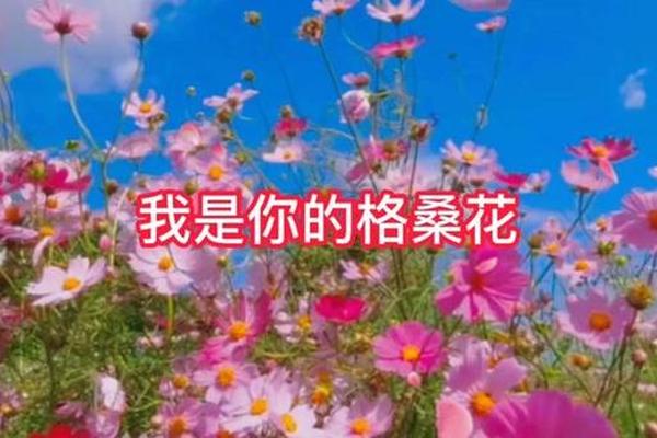 我也是花儿