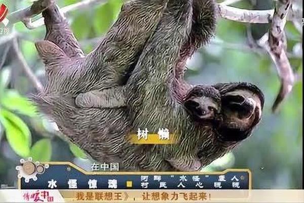 水怪惊魂