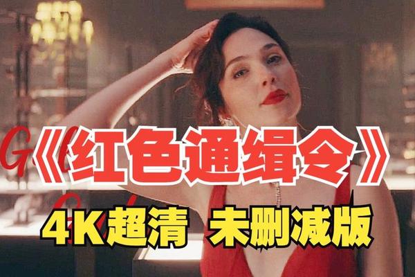红色通缉令免费完整版在线观看