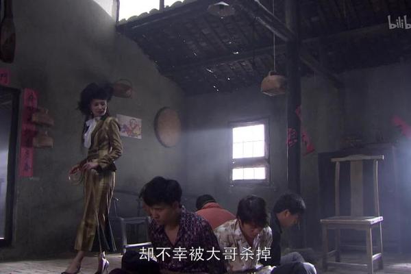 九耳犬全集在线观看