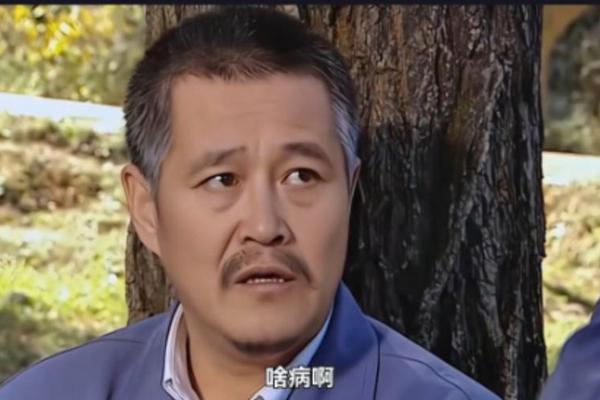 刘老根第2部