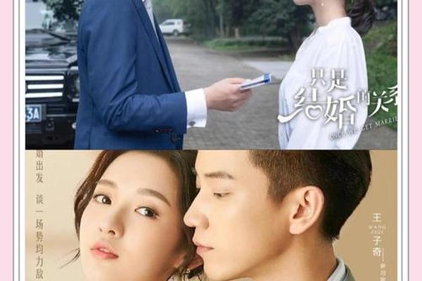 只是结婚关系电视剧免费观看
