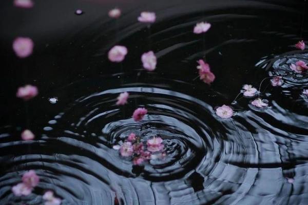 流水落花