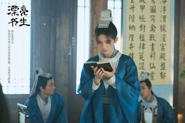 漂亮书生电视剧