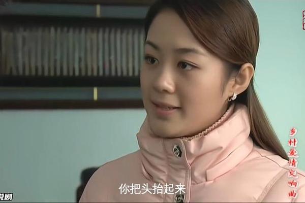 乡村爱情变奏曲高清