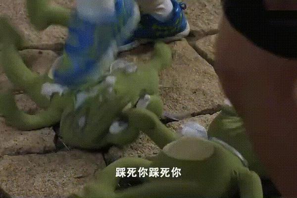 青蛙王子电视剧全集