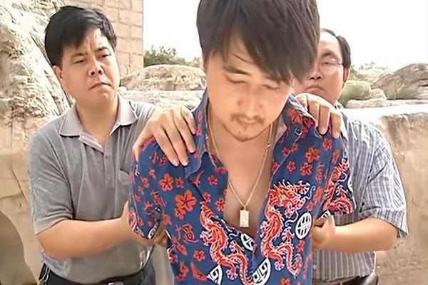 燕赵刑警全集