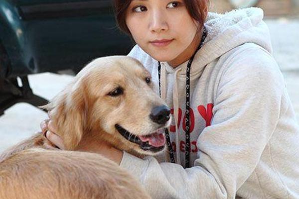 野鸭子第二部全集