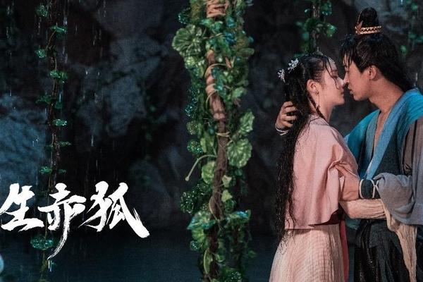 双生赤狐