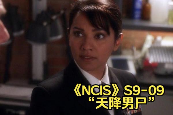 ncis第九季