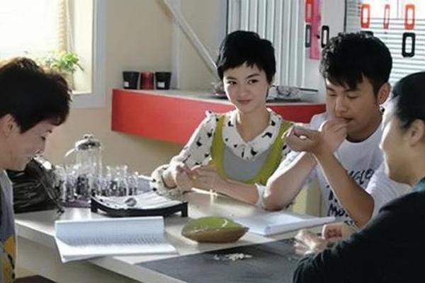 电视剧丈母娘来了