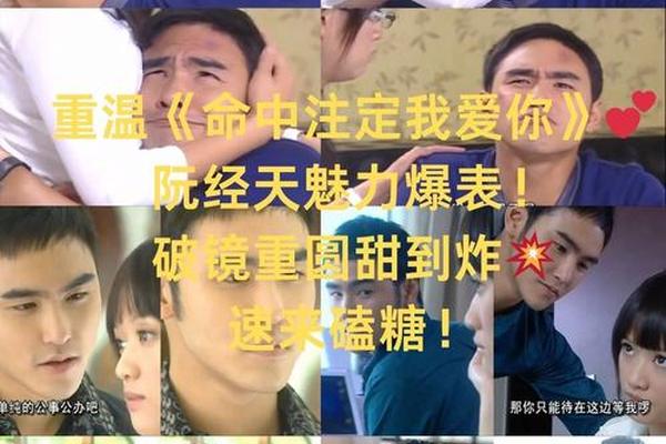 命运注定我爱你全集