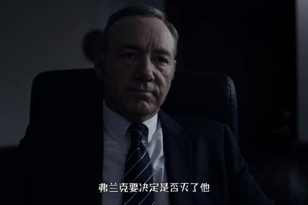 纸牌屋第三季在线观看