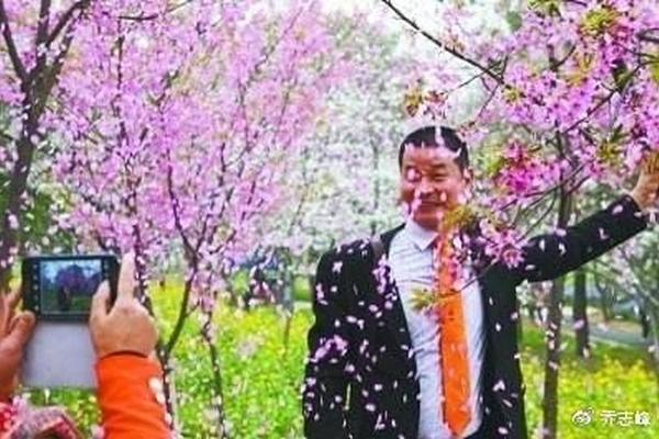 樱花劫