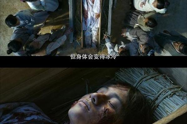 王国第二季在线观看