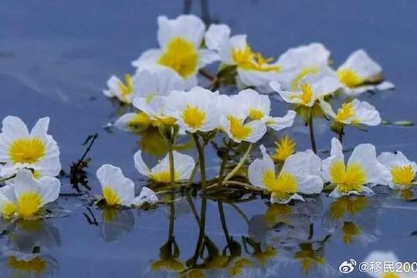 水性杨花百度影音
